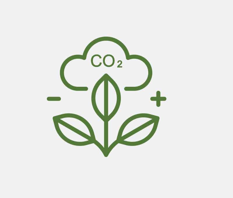 Icon Klimaschutz & Nachhaltigkeit Leistungen Klimaneutralität